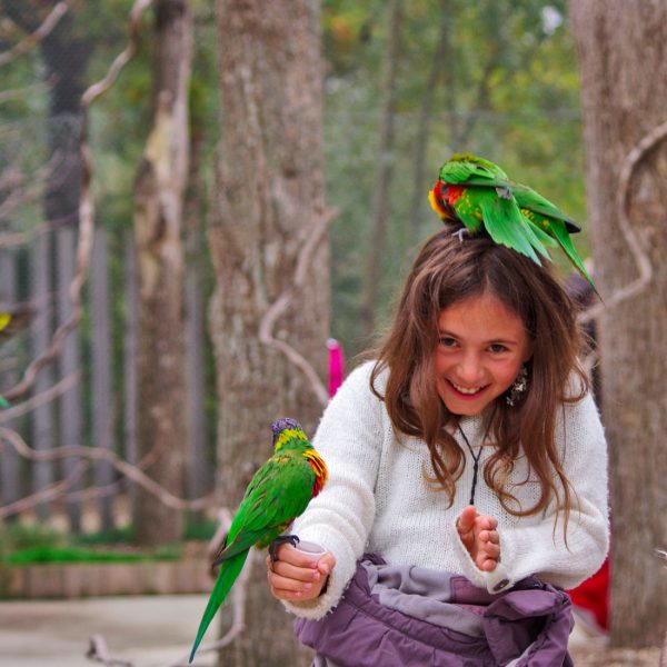 8 idées d’activités pour les tout-petits