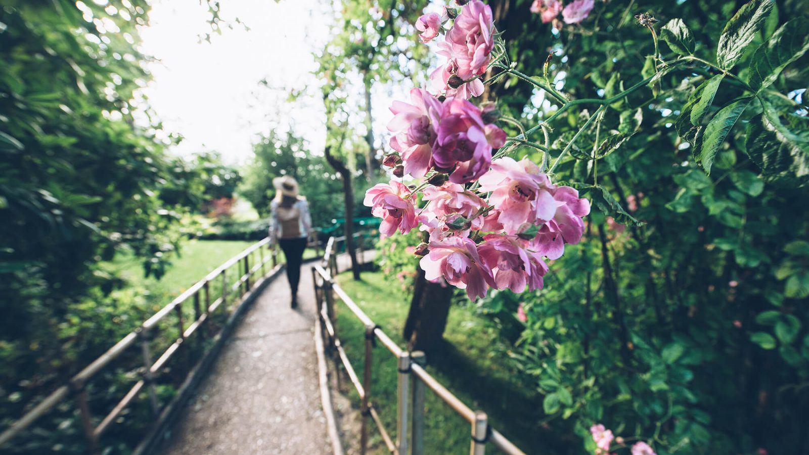 © Max Coquard, Best Jobers