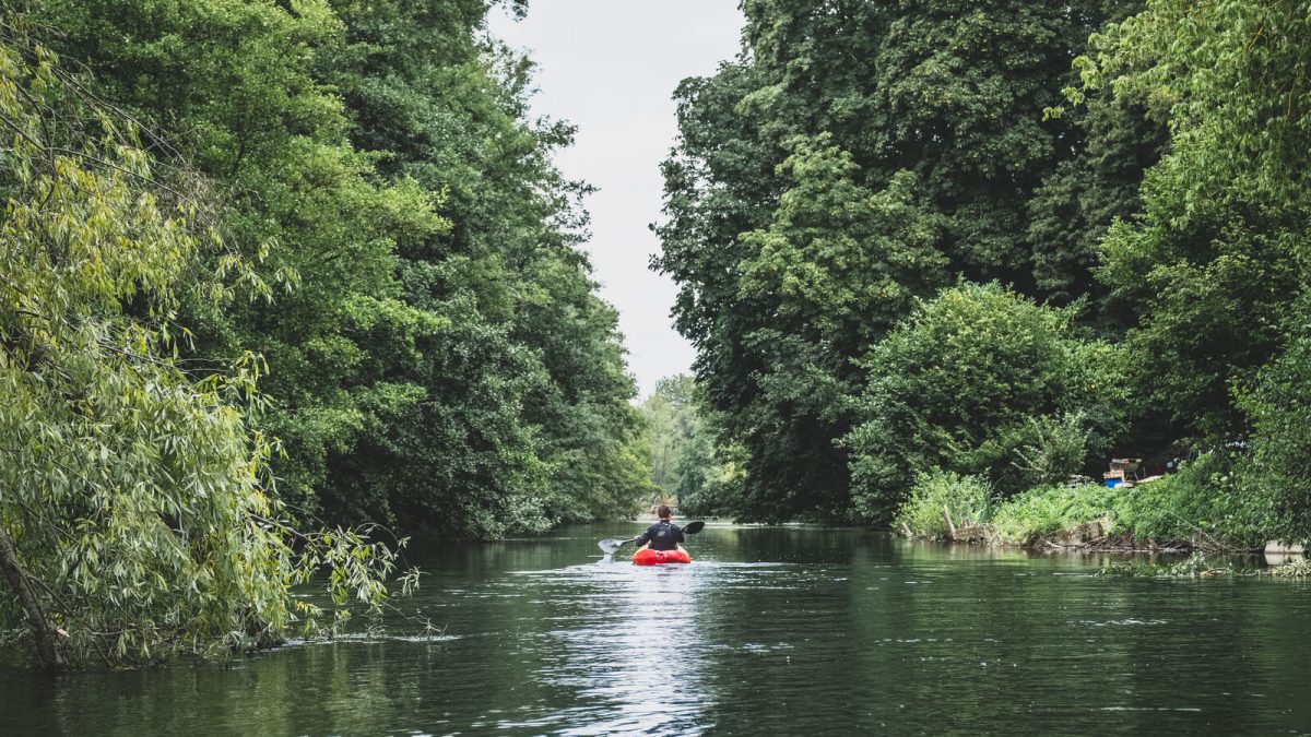 © Teddy Bear photos