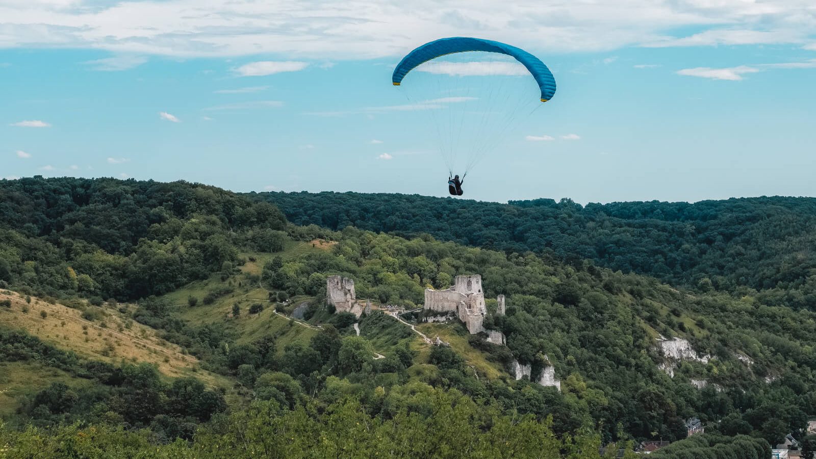 © Teddy Bear photos