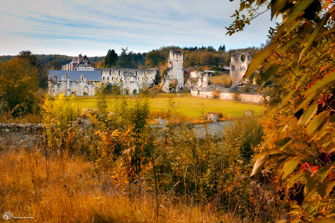Abbaye de Mortemer, Abbaye en ruine, Lisors © N.Daré