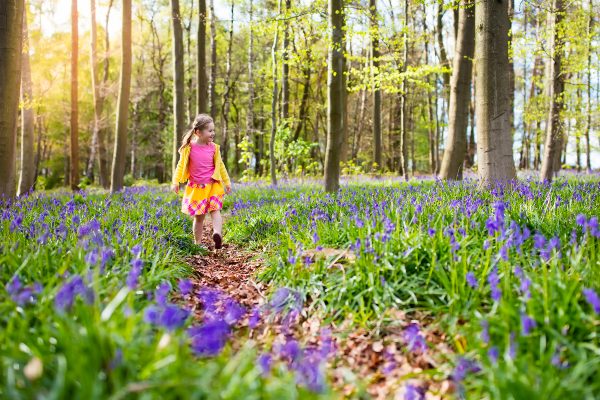 10 idées de balades du côté de chez vous