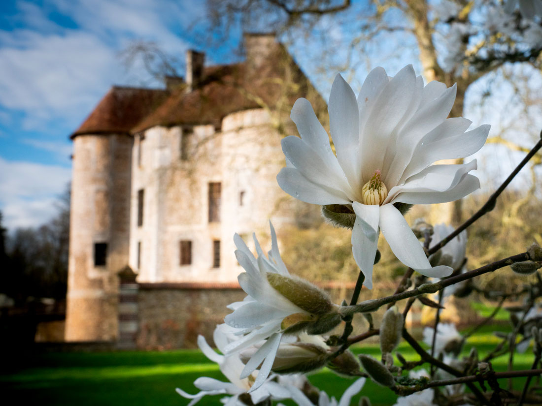 Domaine d'Harcourt © Département de l'Eure, M. Olsson