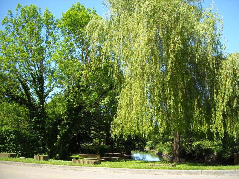 Aire de pique-nique © CC-Broglie