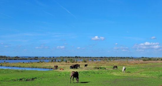 Chemin de l’Allée des Granges