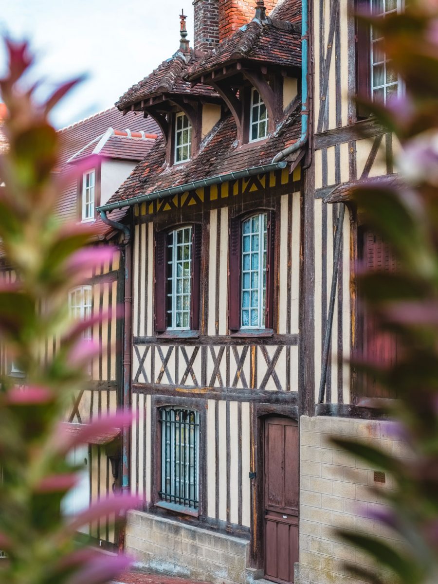 Lyons la Forêt © Teddy Bear Photos