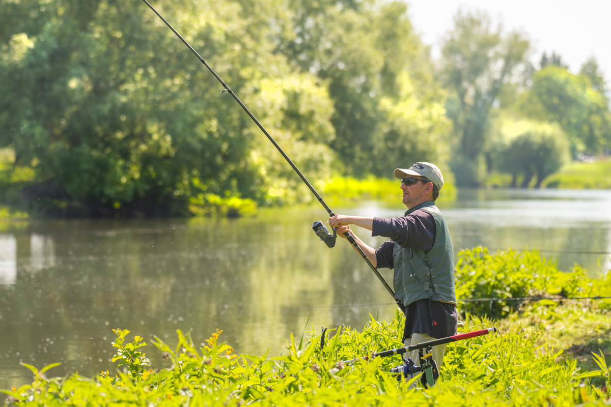 PECHE EN PLAN D'EAU DE 8 HECTARES: Autour de l'eau France, Pays de la Loire