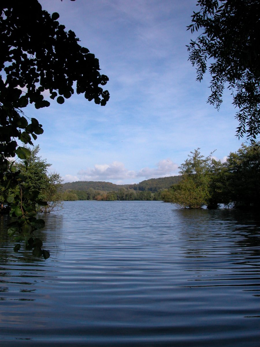 Etang © Gilles Alleaume