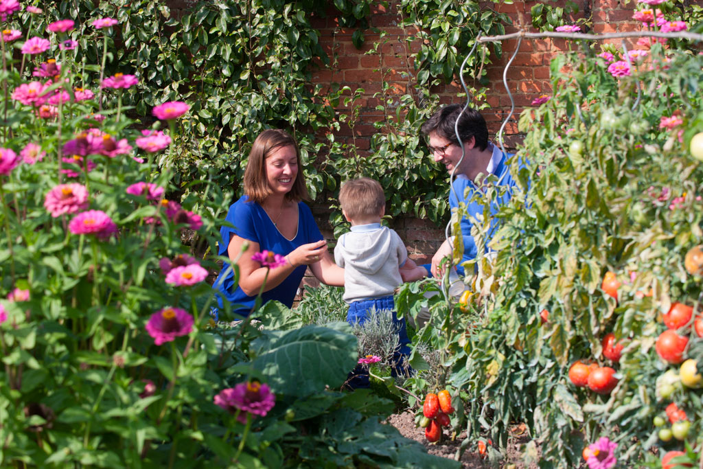 Potager du Château, Acquigny © ADT de l'Eure, G. Targat