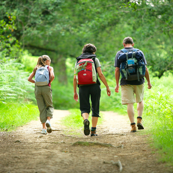 Randonnées pédestres