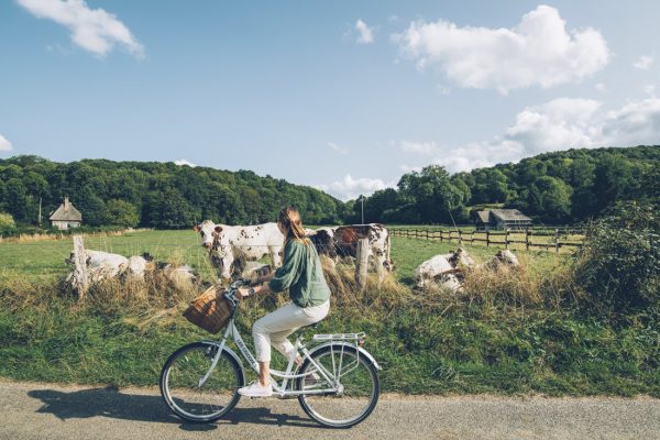 Escapade au vert et à vélo dans le Marais Vernier