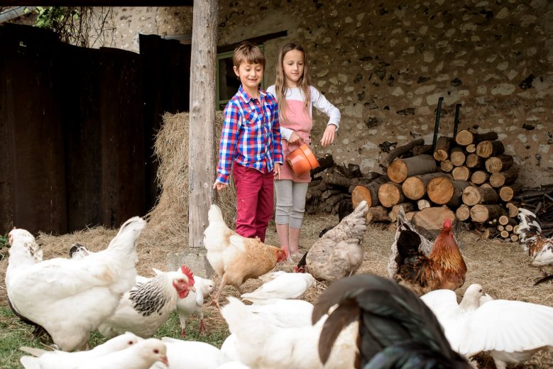Votre parenthèse famille pendant les vacances
