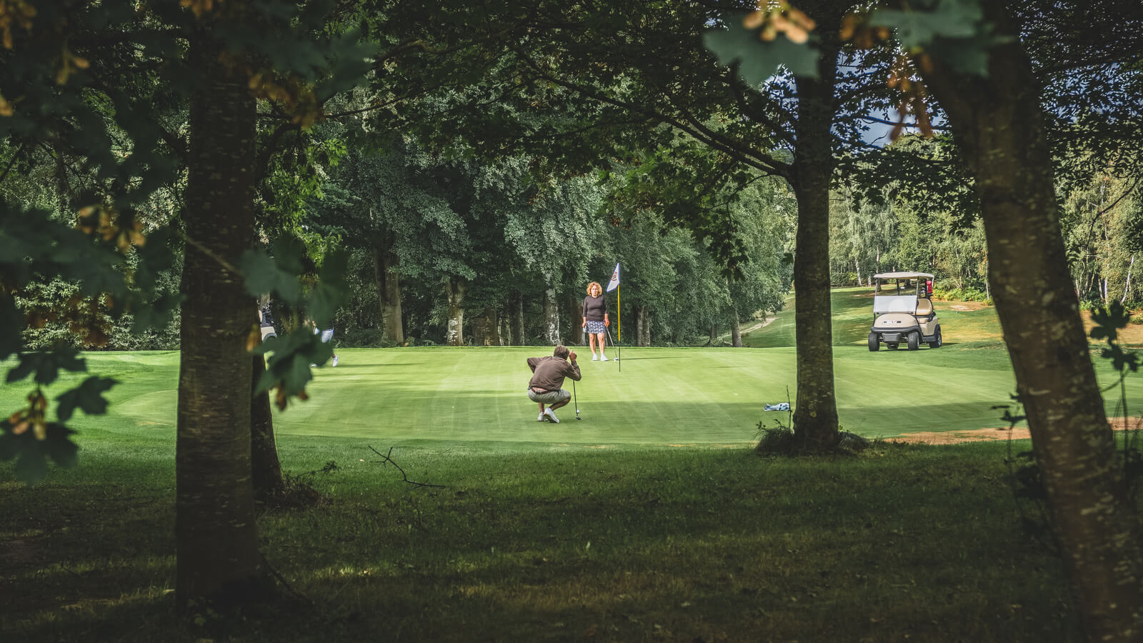 © Teddy Bear photos