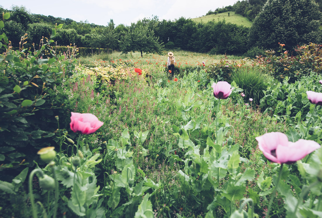Balade nature à Giverny © Max Coquard, Bestjobers
