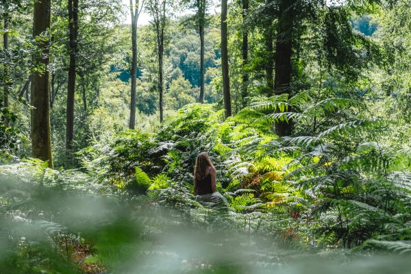 Pause en sous bois, forêt de Lyons © Teddy Bear Photos Sorties et activités