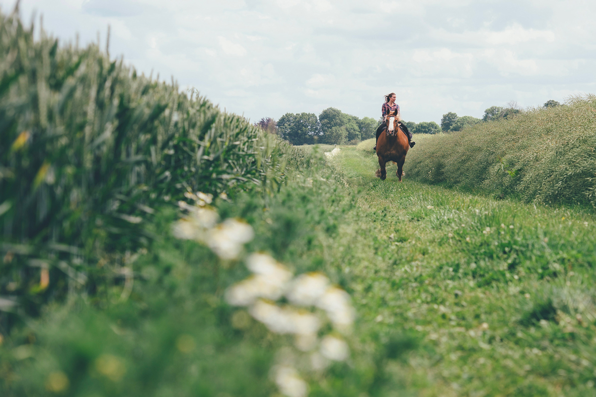 Balade dans un champ de blé, Ferme de Beaulieu, Cormeilles © Max Coquard, Best Jobers Balade dans un champ de blé, Ferme de Beaulieu, Cormeilles © Max Coquard, Best Jobers
