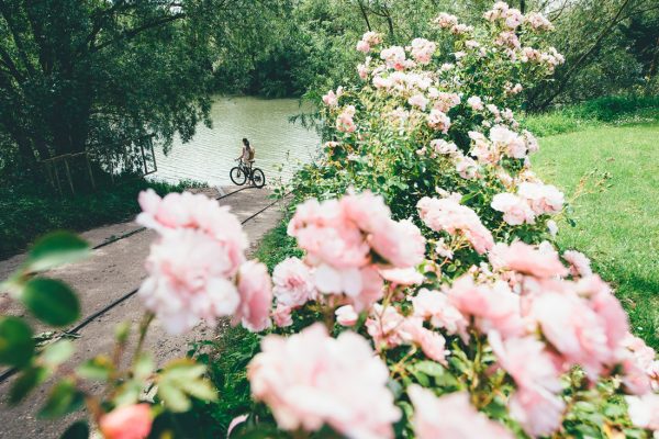Vélo et fleurs, Les Andelys © Max Coquart, Best Jobers La Seine à Vélo