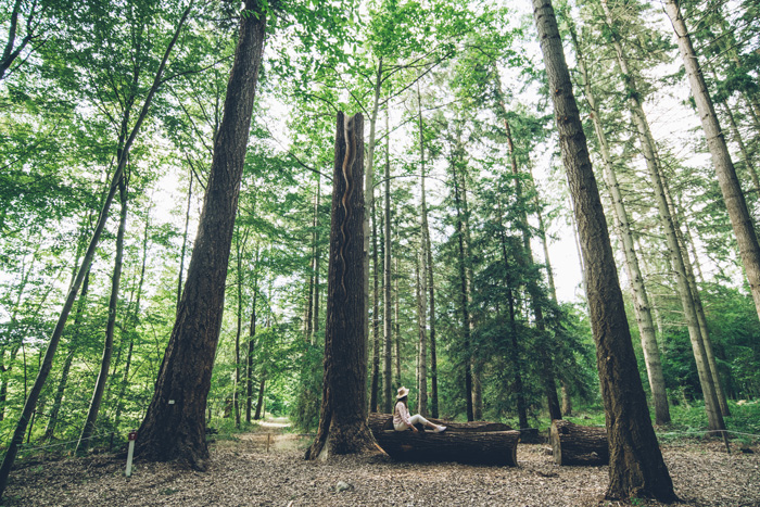 © Max Coquard, Bestjobers