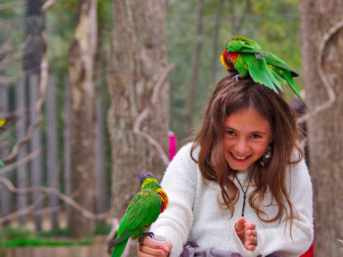 © AdobeStock, Minicel73