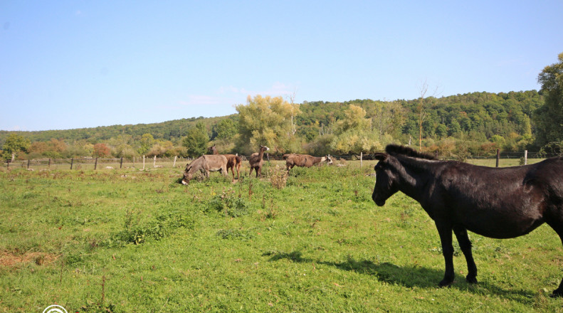 © Gîtes de France Eure