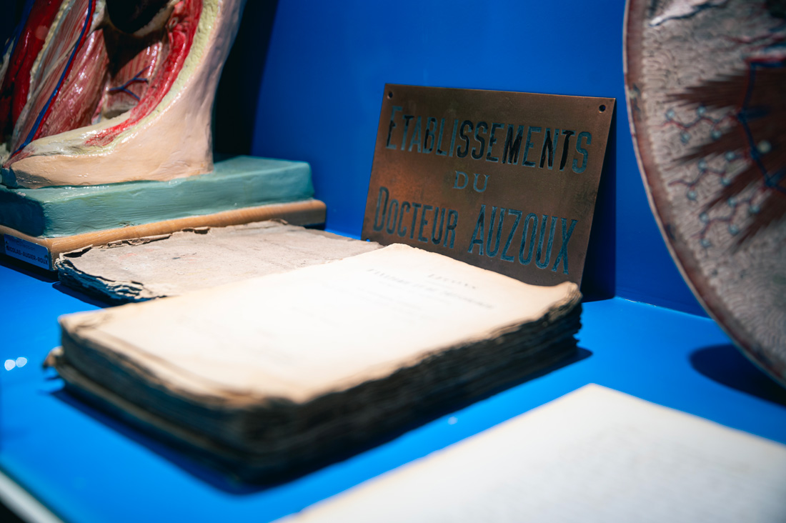 collection musée écorché