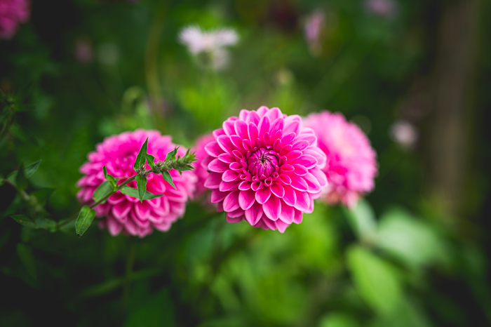 © Aurélien Papa, Département de l'Eure