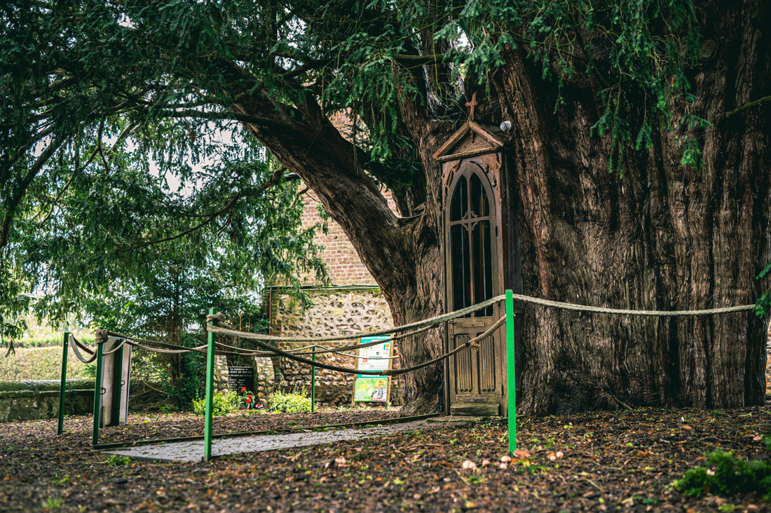 La Haye de Routot - Département de l'Eure - A. Papa