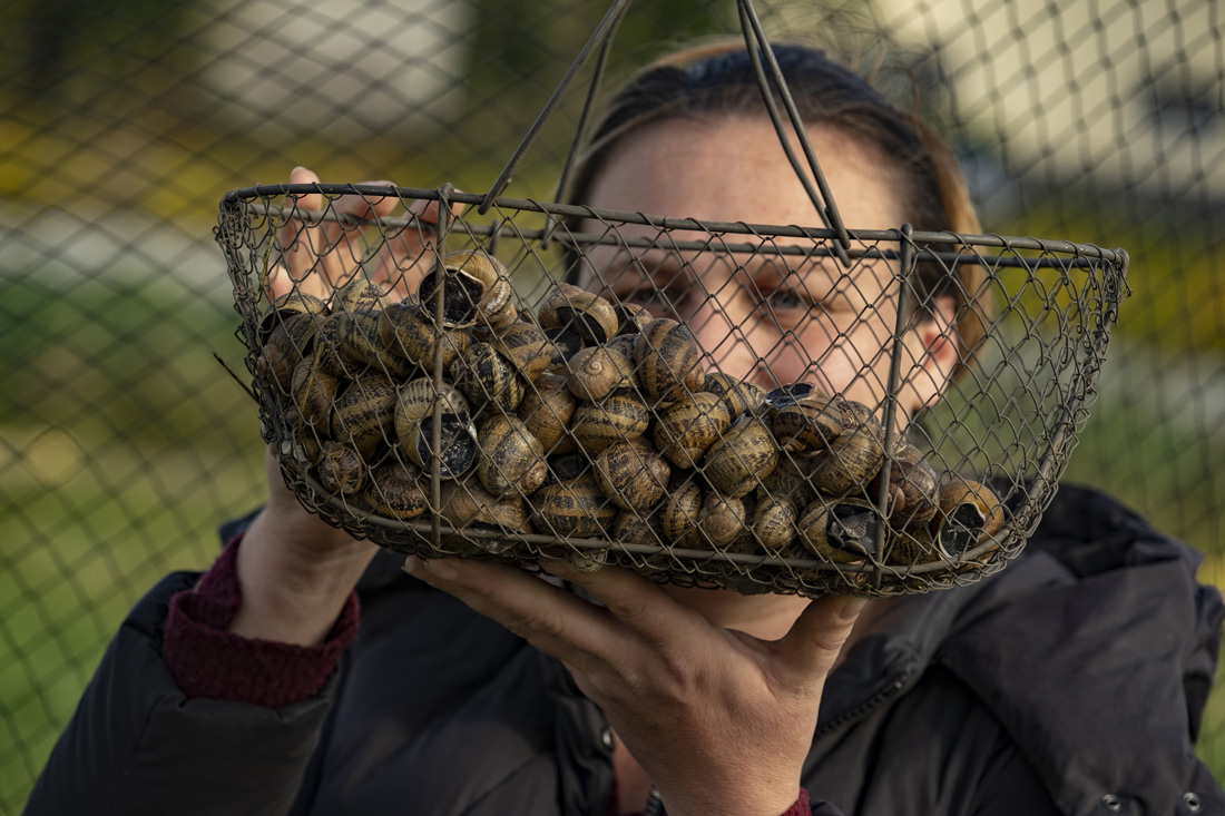 Escargot du Fourneau - ADT de l'Eure - JF. Lange