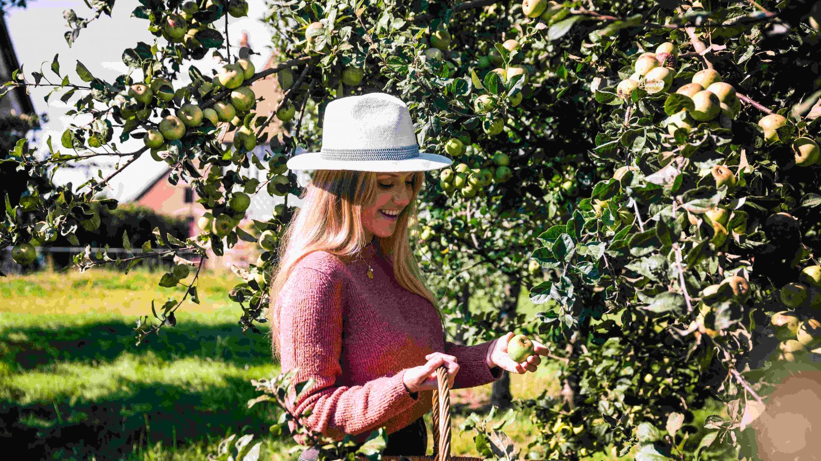 Département de l'Eure - A. Papa