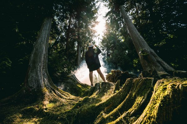 Nature dans l’Eure : 6 balades pas comme les autres