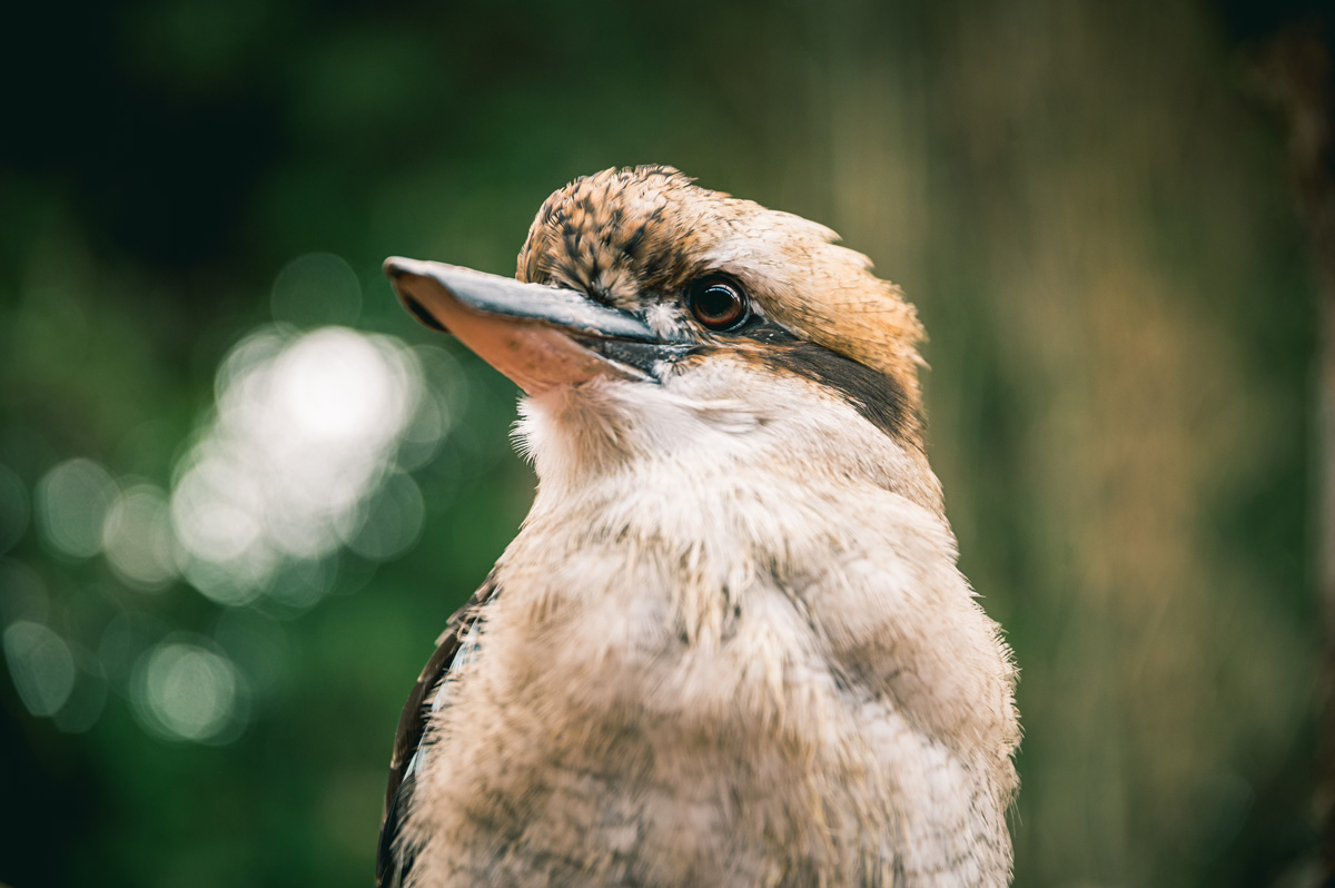 © Aurélien Papa, Département de l'Eure