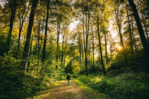 Département de l'Eure A. Papa 5 randonnées d’automne