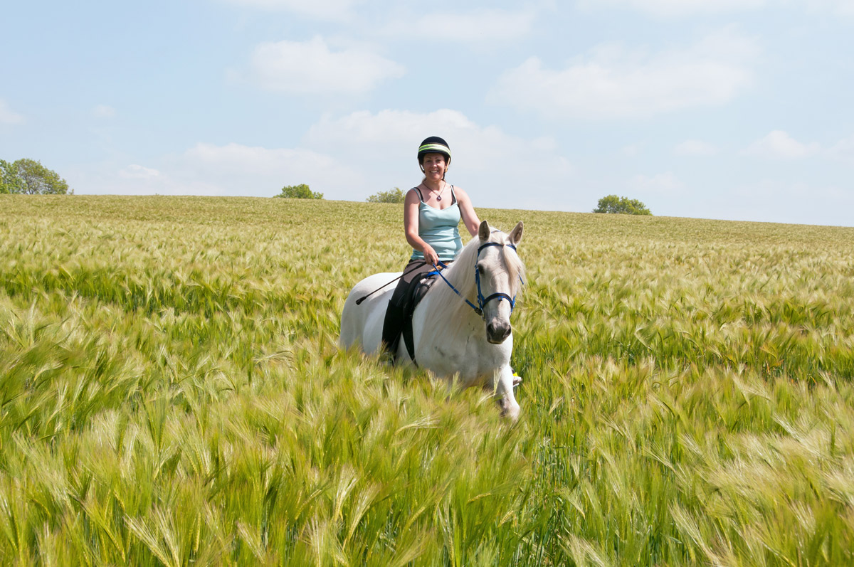 Activité de plein-air : cheval