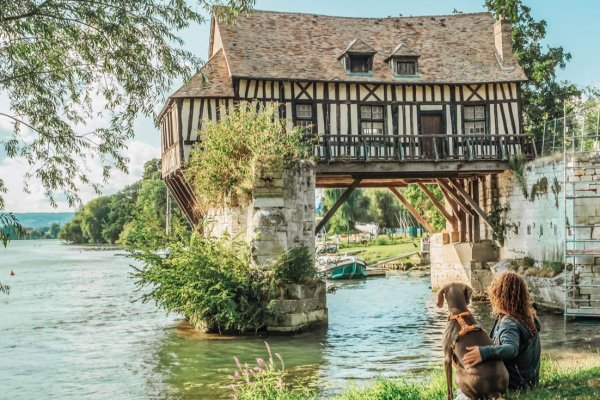 Nos idées de sorties avec votre chien dans l’Eure