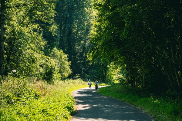 Foret-de-Lyons-Departement-de-l-Eure---Aurelien-Papa-1200x799 A vélo sur la Voie des Légendes