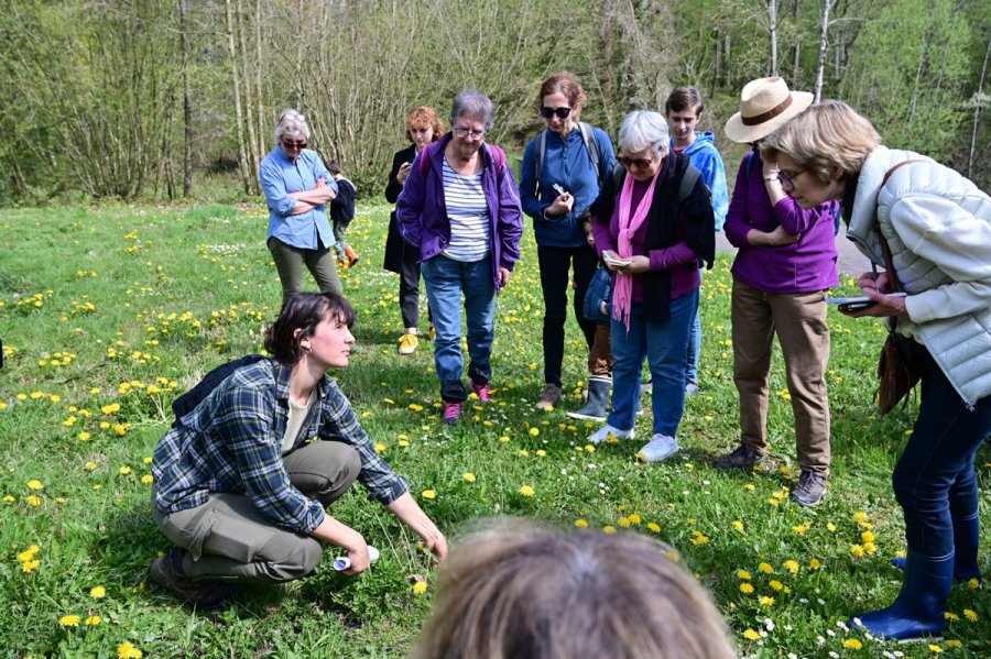 Top des sorties à faire en groupe au printemps dans l’Eure