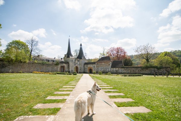 Chien__Bec-Hellouin_-_Alexandra_Lefol-Alexandra_Lefol-28006-1600px L’Eure, destination dog-friendly