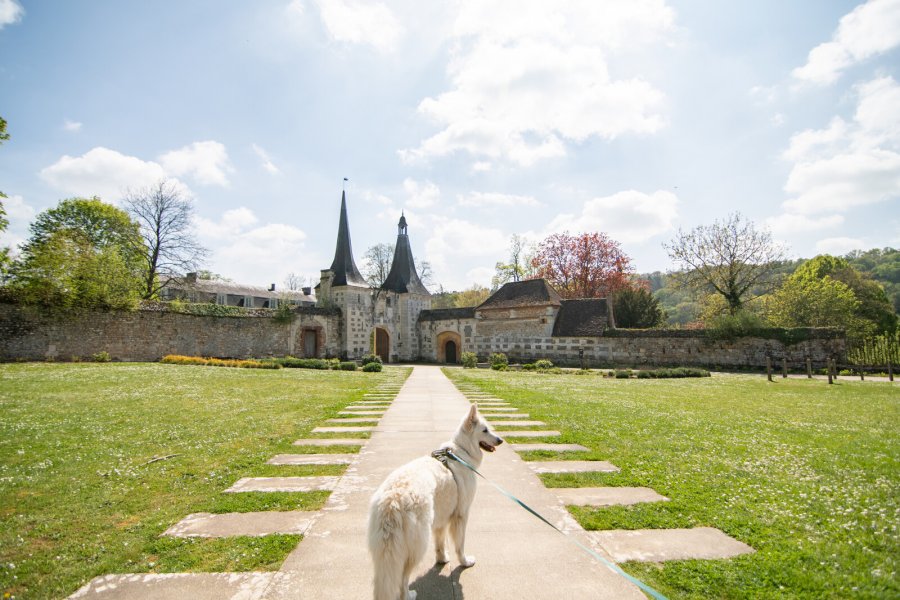 Chien__Bec-Hellouin_-_Alexandra_Lefol-Alexandra_Lefol-28006-1600px L’Eure, destination dog-friendly