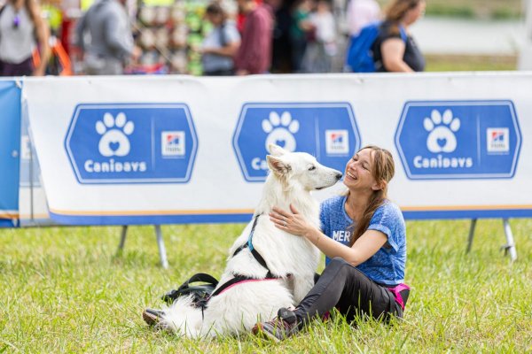 Canidays avec Hill’s dans l’Eure : du 4 au 6 juillet 2025