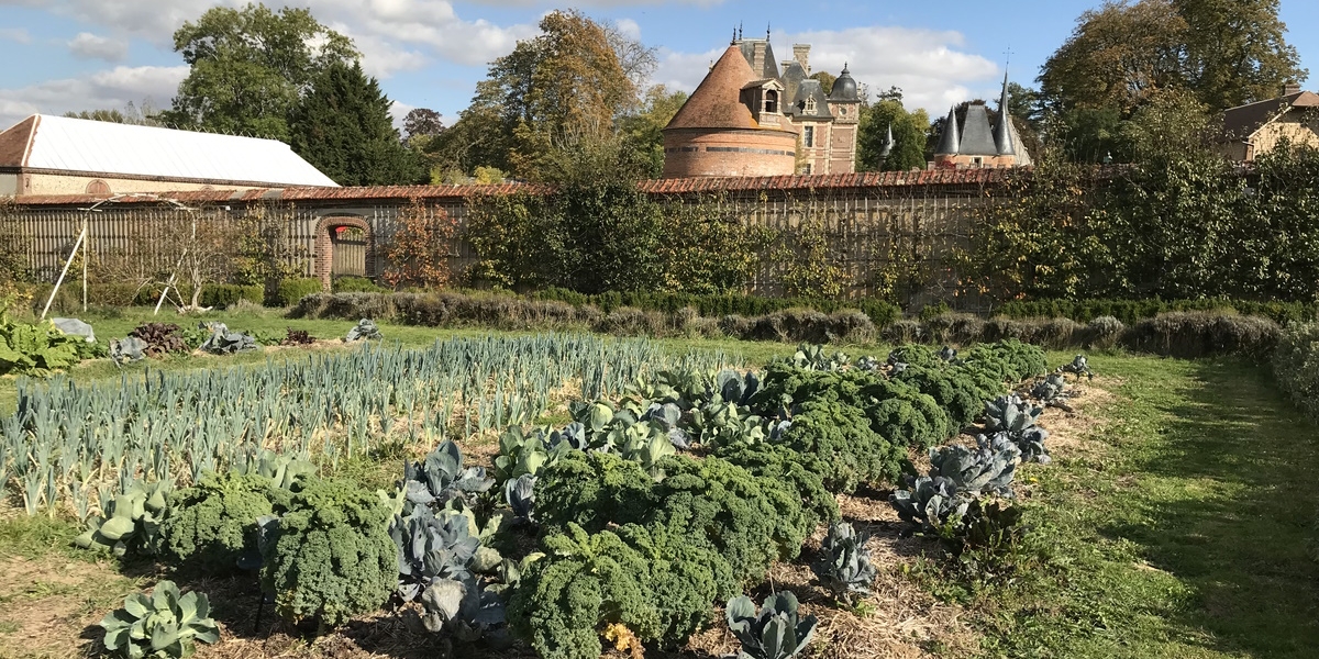 jardins-potager-automne-eure-domaine-de-chambray
