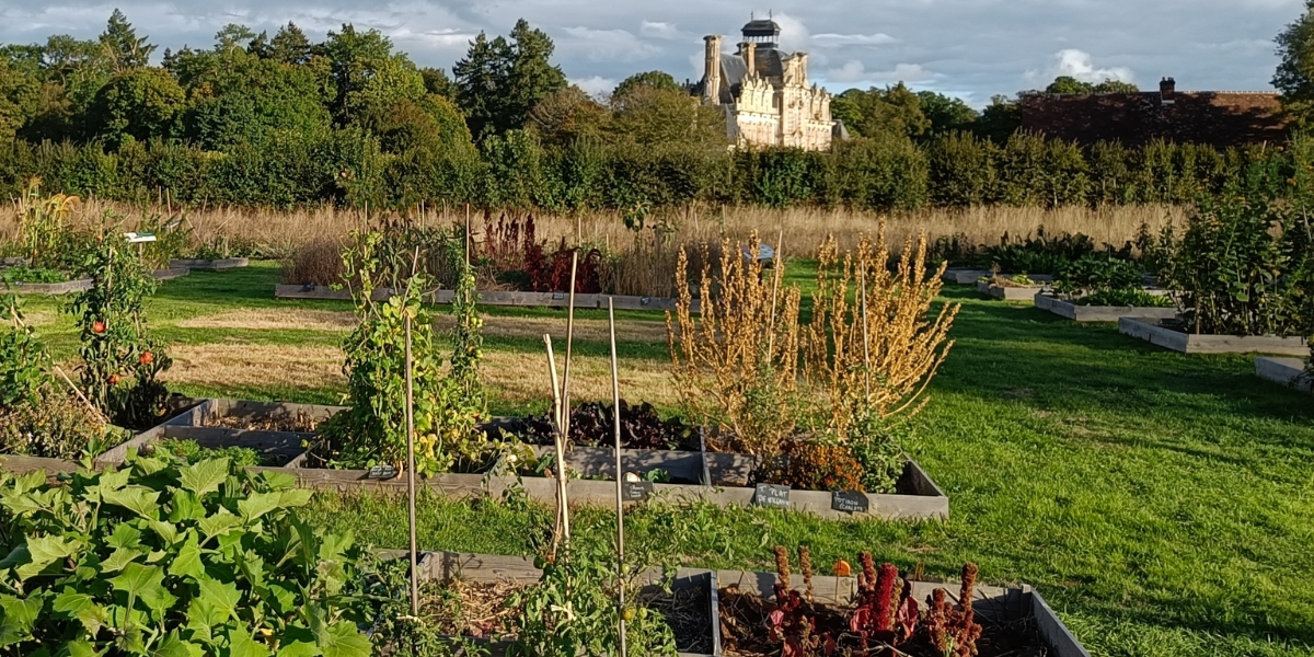 jardins-potager-automne-eure-potager-beaumesnil