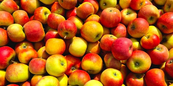 Les meilleurs spots d’automne dans l’Eure pour savourer les pommes de Normandie