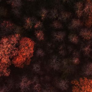 5 spots dans l’Eure pour admirer les couleurs d’automne