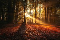 5 spot d'automne dans l'Eure