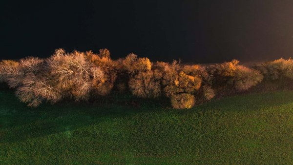 Balades artistiques de Vernon à Giverny : sur les pas des impressionnistes