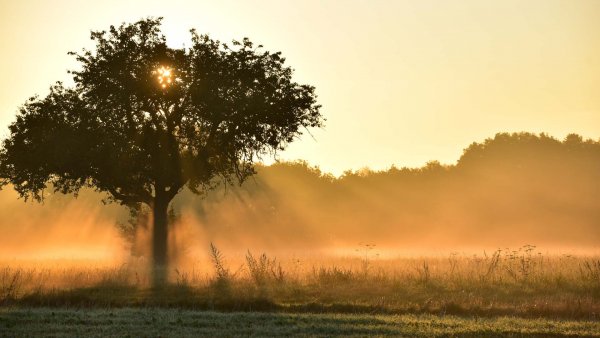 Balade du côté de Lyons-la-Forêt, art, patrimoine et Plus Beaux Villages de France