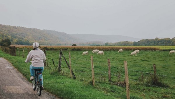 Les activités à faire autour du Domaine d’Harcourt