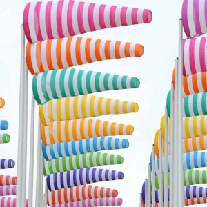 Exposition : Carte blanche à Daniel Buren