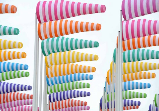 Exposition : Carte blanche à Daniel Buren