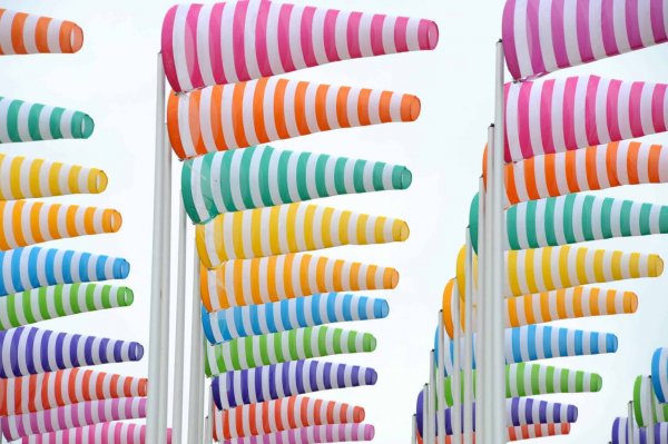 Exposition : Carte blanche à Daniel Buren